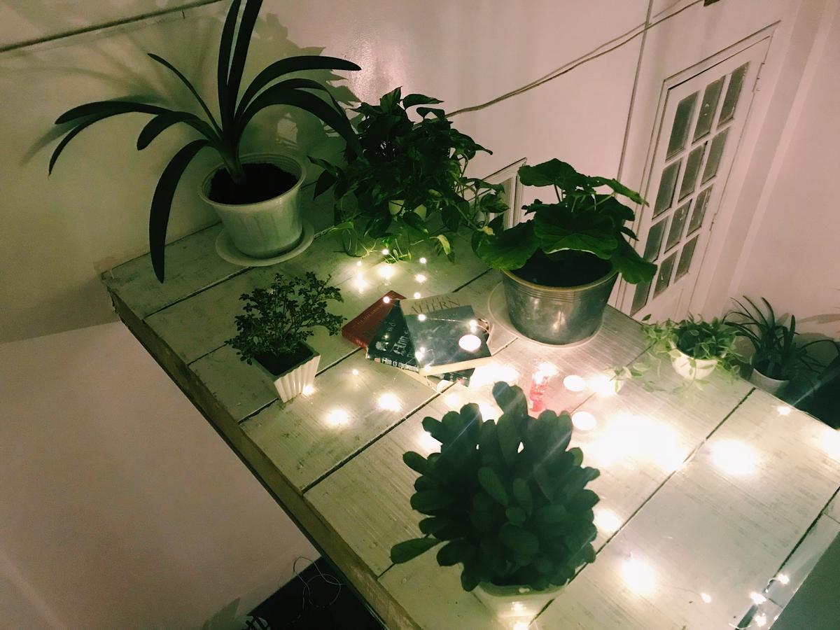 The Balcony Bnb Далат Екстер'єр фото